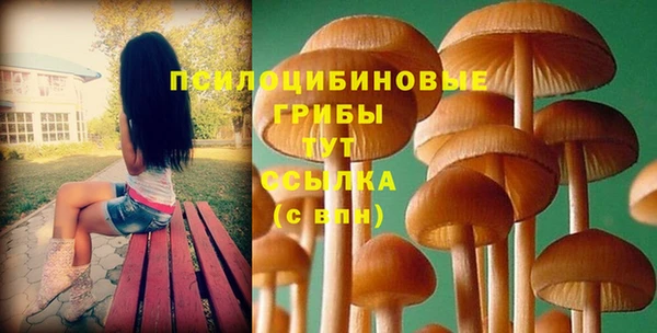 мескалин Баксан