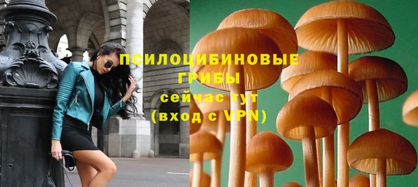 a pvp Сафоново